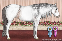 Horse Color:White Spotted Brown Snowflake Varnish 