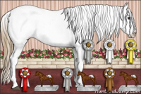 Horse Color:White Spotted Buckskin Appaloosa 