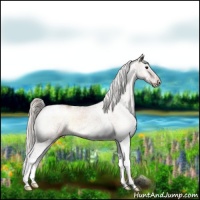 Horse Color:White Spotted Silver Bay Onyx Splash 