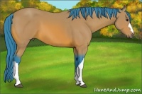 Horse Color:Watercolor Bay 