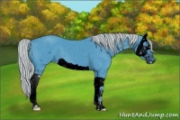Horse Color:ERROR: UNKNOWN ANOMALY