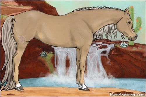 Horse Color:Palomino 