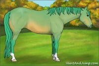 Horse Color:Watercolor Bay 