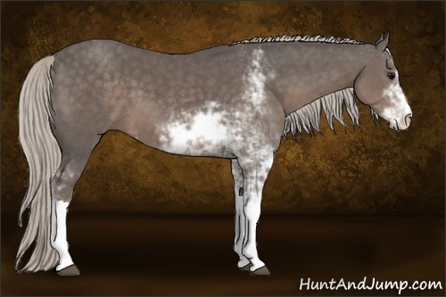 Horse Color:Silver Black Sabino