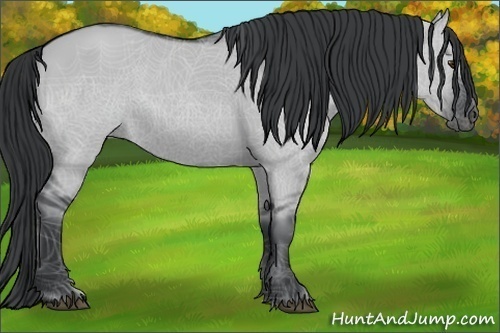 Horse Color:Grullo Chinchilla 