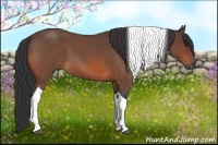 Horse Color:Bay Roan Tobiano