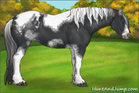 Horse Color:White Spotted Black Splash Tobiano Frame Blanket 