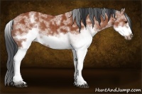 Horse Color:White Spotted Bay Frame