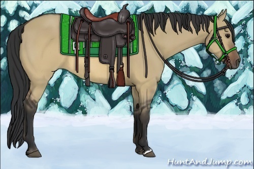 Horse Color:Brown Dun 