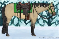 Horse Color:Brown Dun 