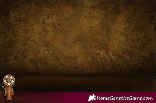 Horse Color:Classic Cream Champagne Roan Splash Tobiano Frame Appaloosa 