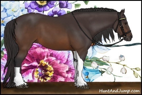 Horse Color:Buckskin Tobiano