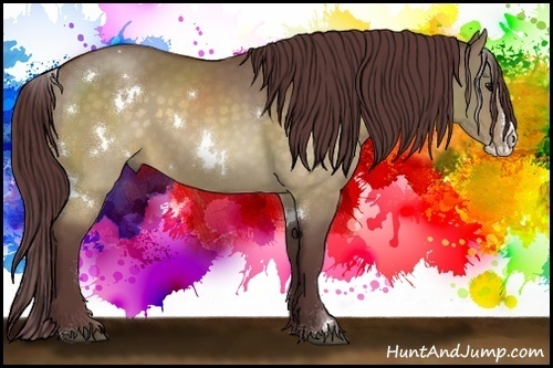 Horse Color:White Spotted Chocolate Buckskin Dun Splash 