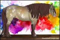 Horse Color:White Spotted Chocolate Buckskin Dun Splash