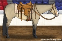 Horse Color:Buckskin Dun Splash 
