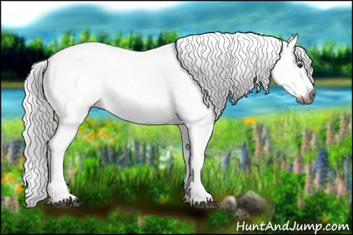 Horse Color:Gray Buckskin Dun Splash Snowflake Varnish