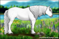 Horse Color:Gray Buckskin Dun Splash Snowflake Varnish