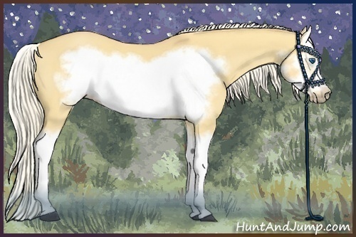 Horse Color:Palomino Dun Splash Frame 