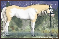 Horse Color:Palomino Dun Splash Frame