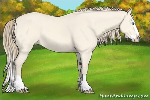 Horse Color:Perlino Dun Splash 