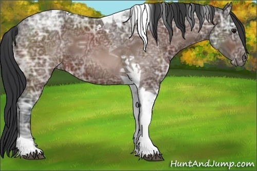 Horse Color:Bay Ice Tobiano 