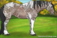 Horse Color:Bay Ice Tobiano