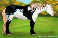 Horse Color:Painted Gold Cream Champagne Dun Tobiano Snowcap Rabicano