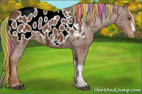Horse Color:Painted Chestnut Appaloosa 
