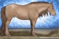 Horse Color:Black Pearl