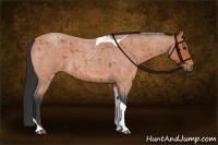 Horse Color:Bay Roan Tobiano