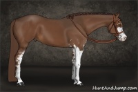 Horse Color:Liver Chestnut Sabino 