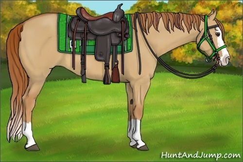 Horse Color:Red Dun Splash 