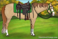 Horse Color:Red Dun Splash 