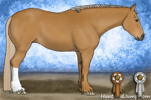 Horse Color:Gray Palomino 