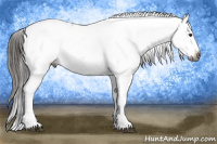 Horse Color:Gray Liver Chestnut Sabino Snowcap Rabicano