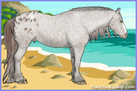 Horse Color:Amber Champagne Ice Varnish 