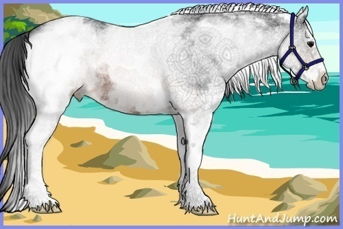 Horse Color:White Spotted Brown Rabicano 