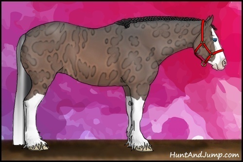 Horse Color:Brown Ice Splash