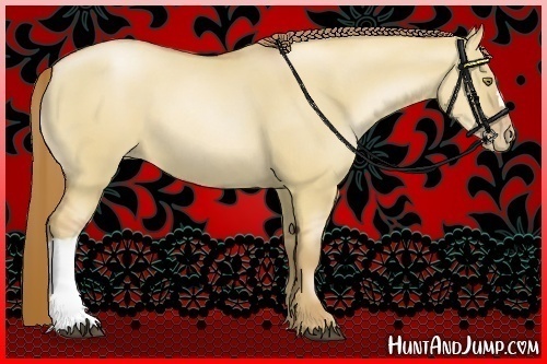 Horse Color:Red Dun Pearl 