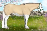 Horse Color:Silver Amber Champagne Dun Splash 