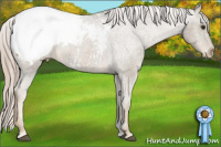 Horse Color:Chocolate Palomino Snowcap 