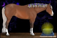 Horse Color:Silver Brown Splash 