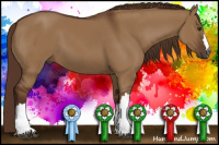 Horse Color:Gray Red Dun 