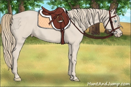 Horse Color:Smoky Creme 