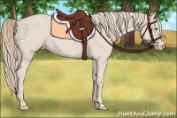 Horse Color:Smoky Creme 