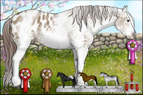 Horse Color:White Spotted Liver Red Dun Splash Blanket