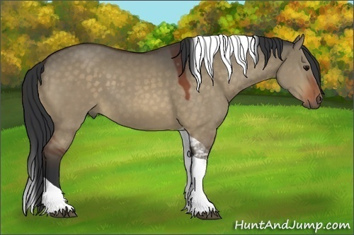 Horse Color:Bay Dun Tobiano 