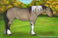 Horse Color:Bay Dun Tobiano 