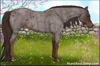 Horse Color:Liver Red Roan 