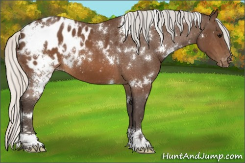 Horse Color:White Spotted Silver Brown Varnish 